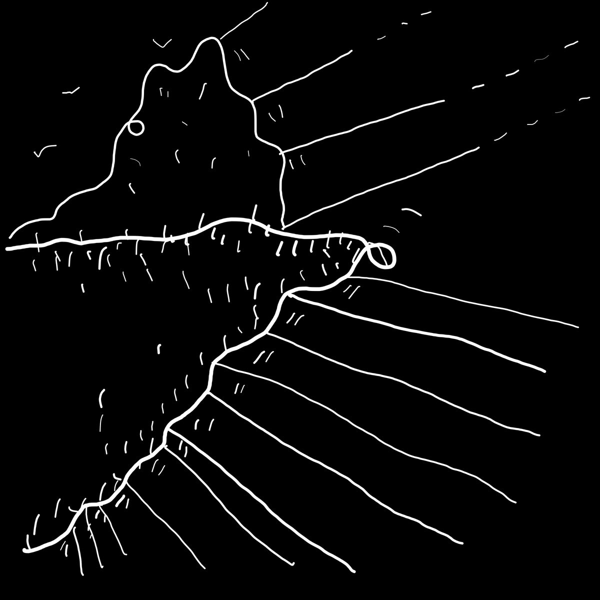 Reply Card 2025/01/17 by Shantell Martin