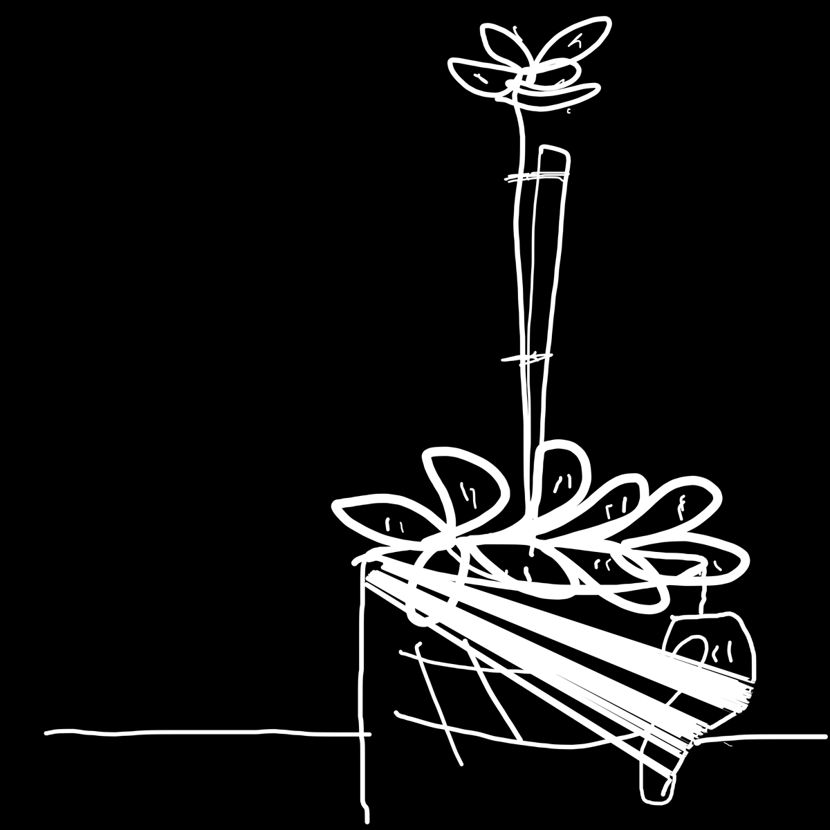 Reply Card 2025/09/17 by Shantell Martin